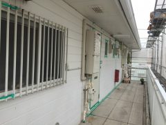 IMG_8861
